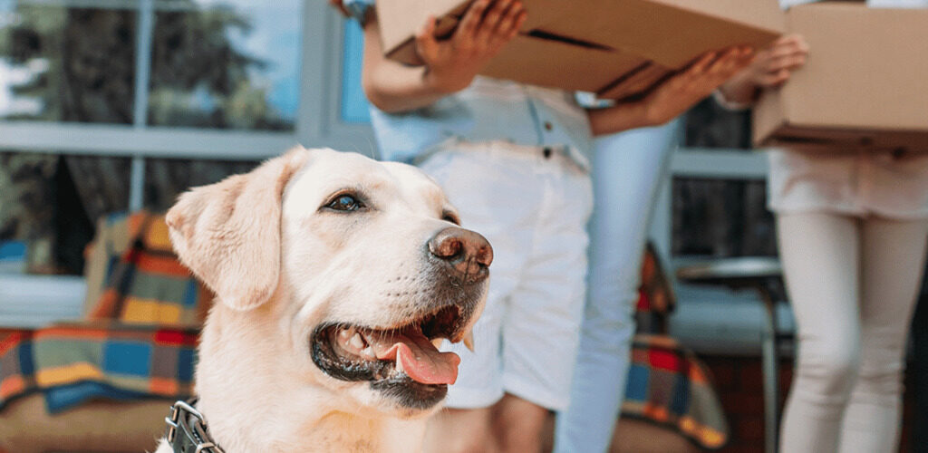 Weisser Hund mit Tierhalter*innen vor seinem neuen zuhause