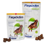 Flexadin Advanced Hund