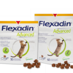 Flexadin Advanced Katze