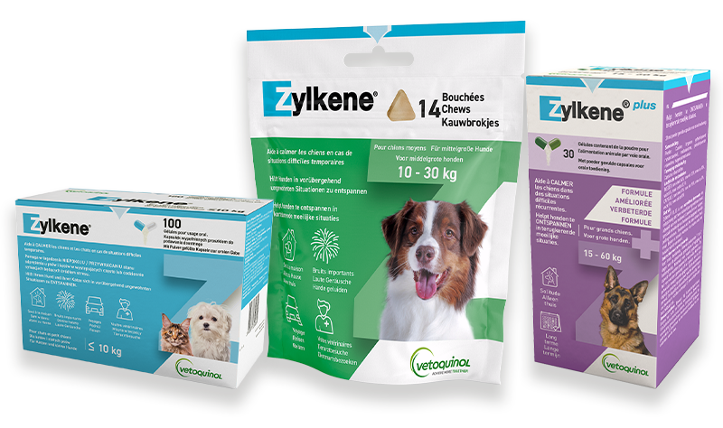 Zylkene Packshots Gruppenbild