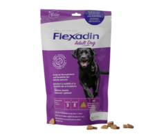 Flexadin Adult Dog Packshot in Lila