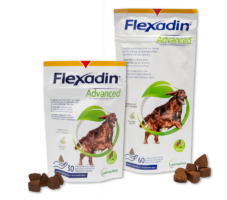 Flexadin Advanced Hund