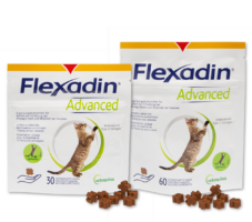 Flexadin Advanced Katze