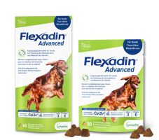 Flexadin-Advanced-fuer-Hunde-mit-Chews-60-und-30-2025-768x676