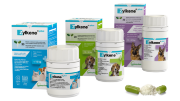 zylkene-plus-group-packshot-mit-offener-kapsel-1-768x432